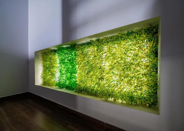 Du Mio Maison d'hôtes